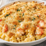 Creamy Trader Joes lobster pasta baked in a white dish, topped with golden breadcrumbs and garnished with fresh herbs.
