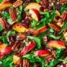 Apple cranberry pecan salad with fresh greens, sliced apples, dried cranberries, and toasted pecans drizzled with balsamic dressing.